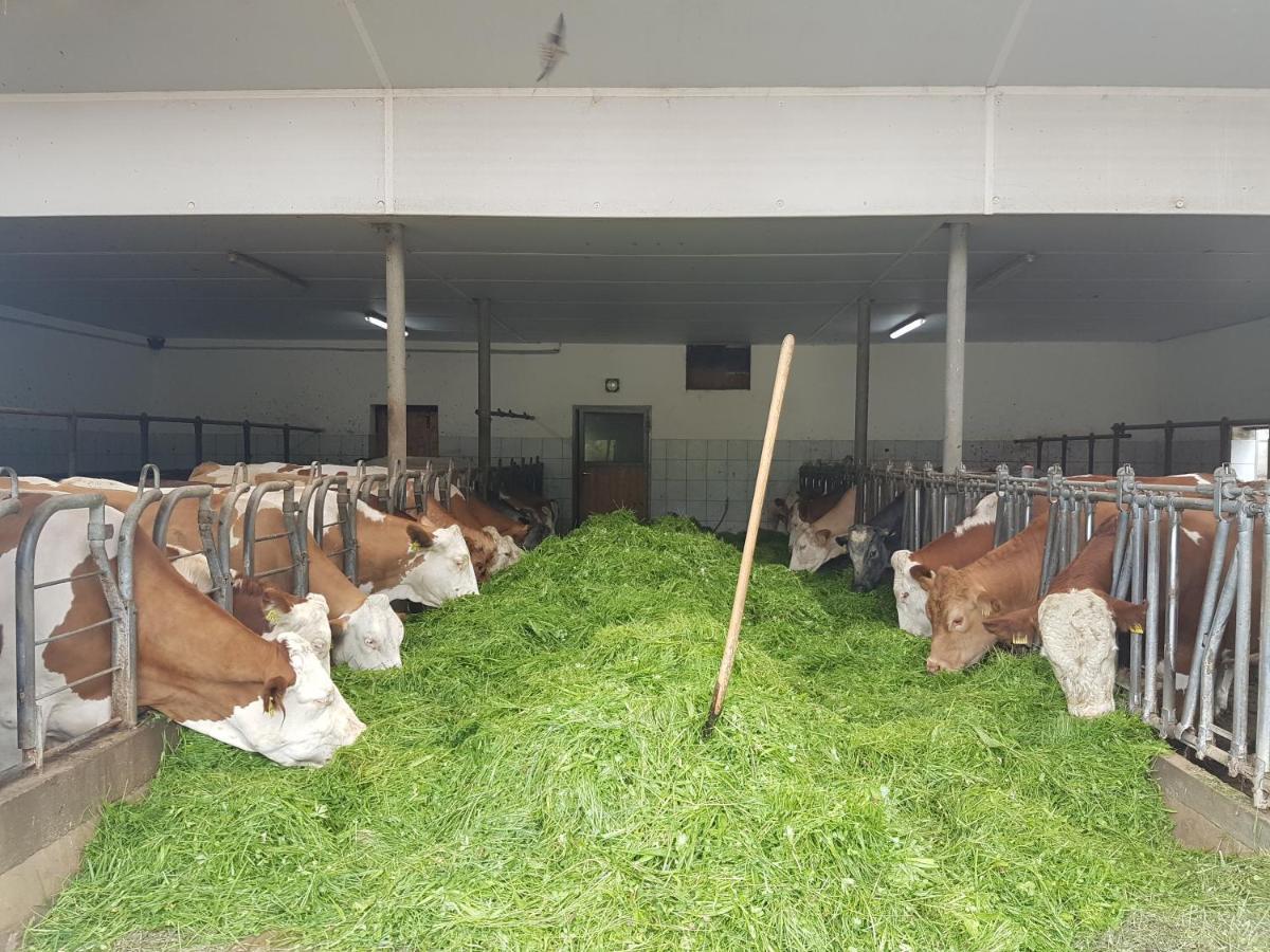Gaestehaus Annemarie Rimsting Ngoại thất bức ảnh